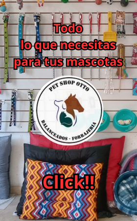 Todo lo que necesitas para tus mascotas